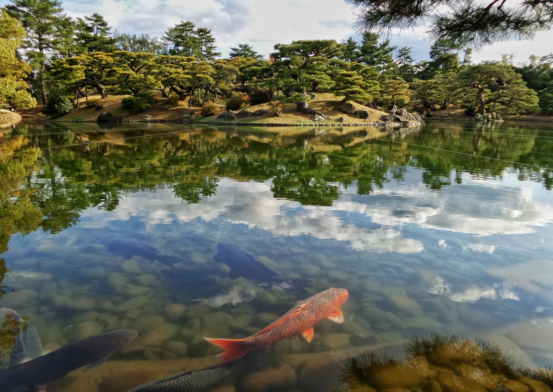 Japón