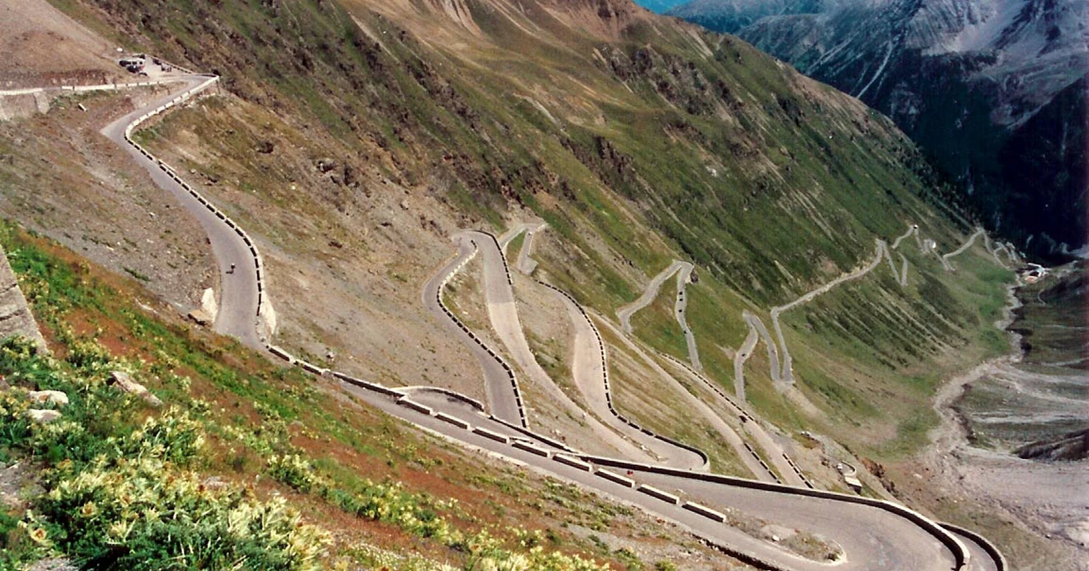 Transalpina